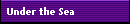 Under the Sea