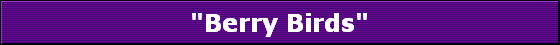 "Berry Birds"