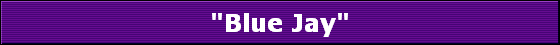 "Blue Jay"