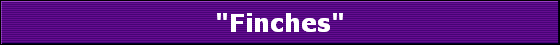 "Finches"