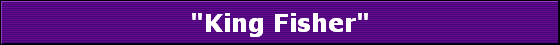 "King Fisher"
