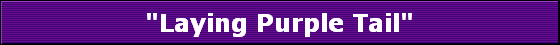 "Laying Purple Tail"