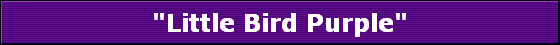 "Little Bird Purple"