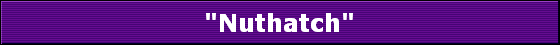 "Nuthatch"