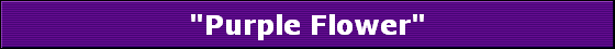 "Purple Flower"