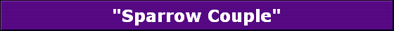 "Sparrow Couple"