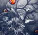 Copyright 2010
