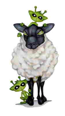 Copyright 2010