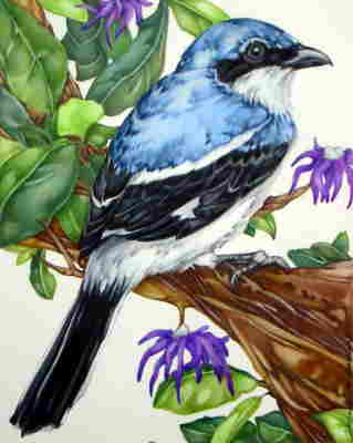 Copyright 2010