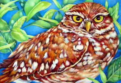 Copyright 2010