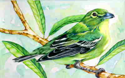 Copyright 2010