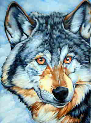 Copyright 2010