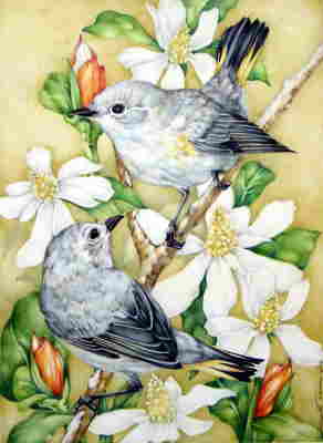 Copyright 2010