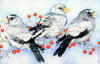 Copyright 2010