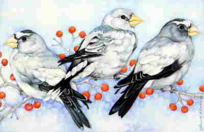 Copyright 2010