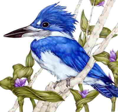 Copyright 2010
