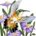 Copyright 2010