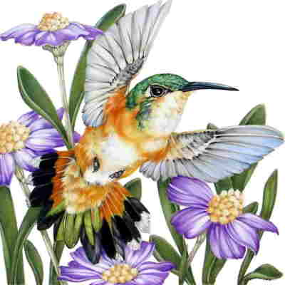 Copyright 2010