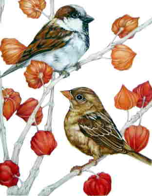 Copyright 2010