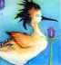 Copyright 2009