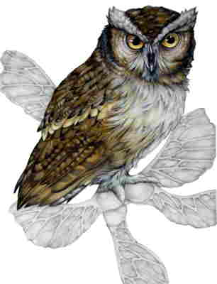 Copyright 2010