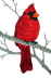Copyright 2010