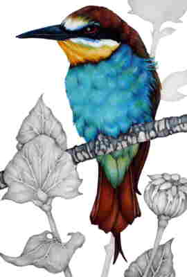 Copyright 2010