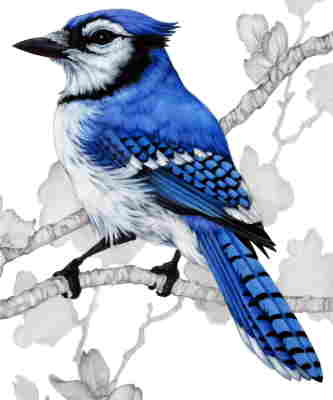 Copyright 2010
