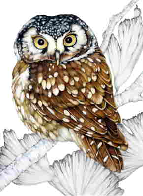 Copyright 2010