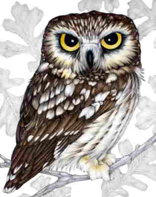 Copyright 2010