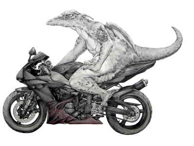 Copyright 2010
