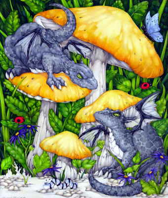 Copyright 2010