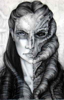 Copyright 2010