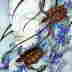 Copyright 2010