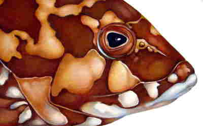 Copyright 2010