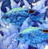 Copyright 2010