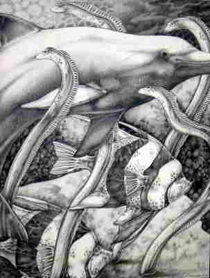 Copyright 2010