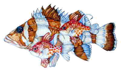Copyright 2010