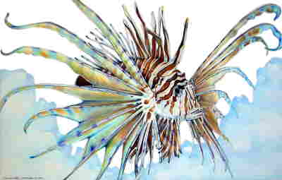 Copyright 2010