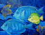 Copyright 2010