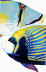 Copyright 2010