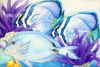 Copyright 2010
