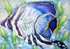 Copyright 2010