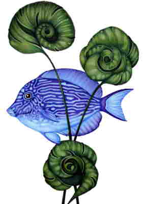 Copyright 2010