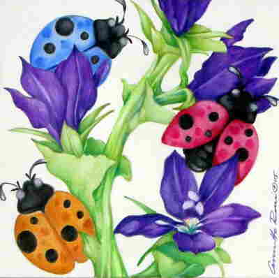 Copyright 2010