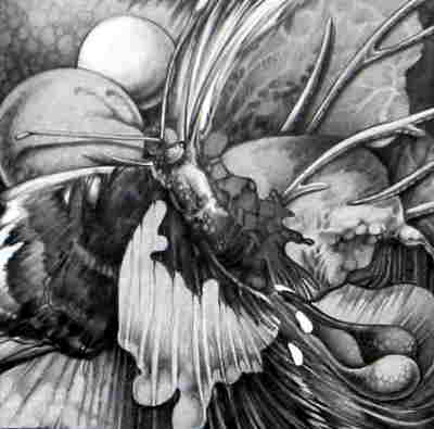 Copyright 2010