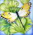 Copyright 2010