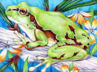 Copyright 2010