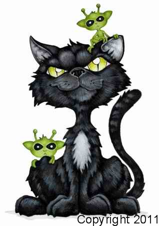 Placeholder  Image